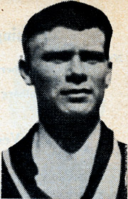 savolainen